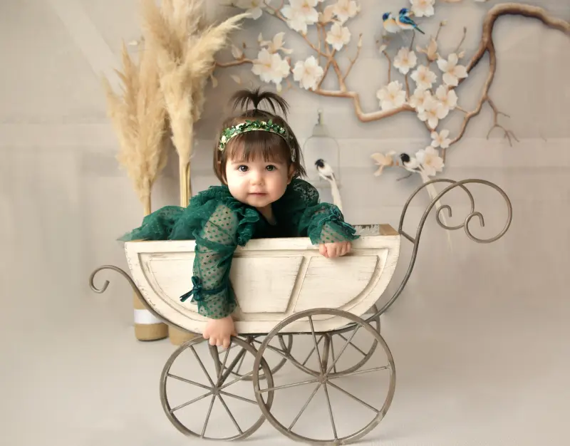 Φωτογράφιση γενεθλίων 29